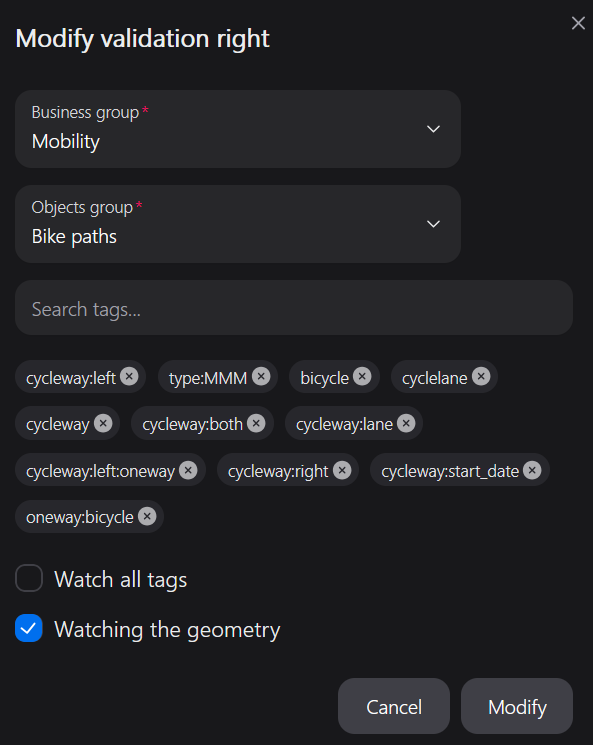 Review-right editor showing an object group, geometry checkbox and monitored tags