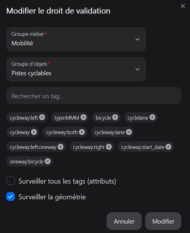 Éditeur de droits montrant groupe d’objets, case géométrie et tags surveillés